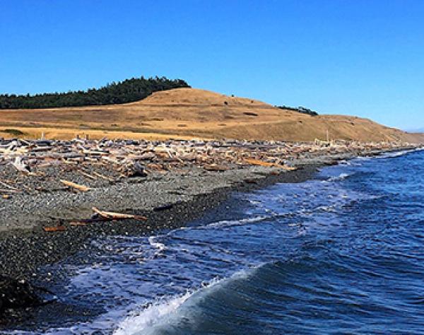 Beautiful South Beach on San Juan Island