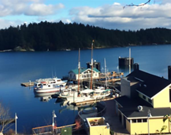 Trekaroo on San Juan Island