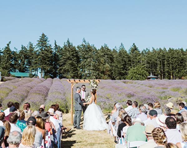 Wedding at the Lavender Farm on San Juan Island Wedding at the Lavender Farm on San Juan Island