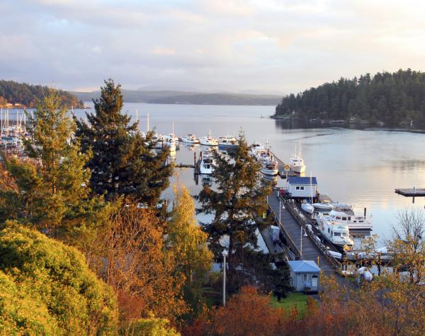 Friday Harbor in the Fall Friday Harbor in the Fall