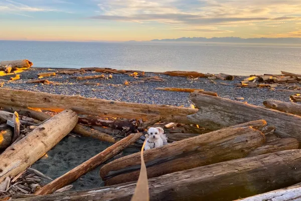San Juan Island, Washington