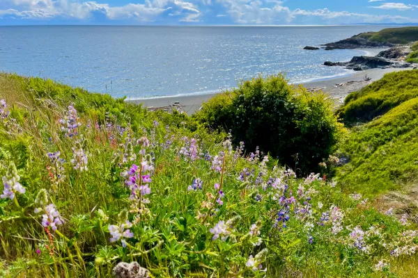 San JUan Island, Washington