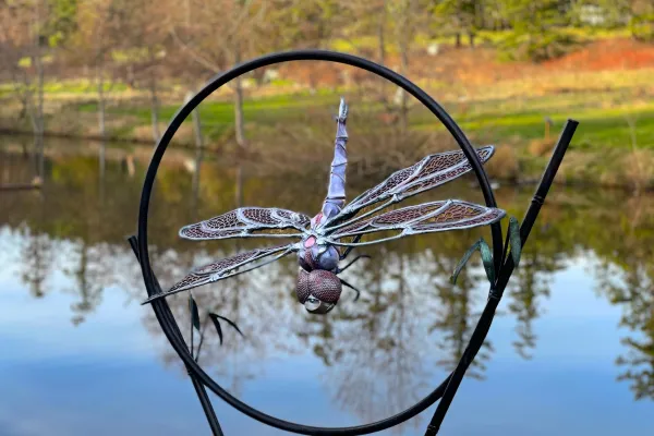 San Juan Island, Washington