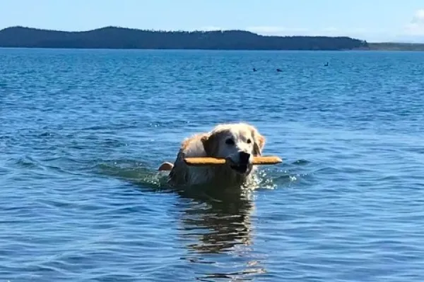 San Juan Island, Washington
