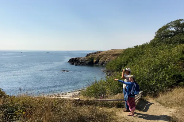 Whale Watching from Land on San Juan Island, Washington