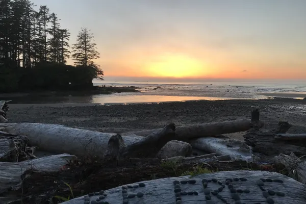 Be Free on San Juan Island