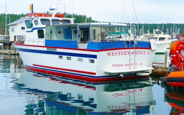 Western Prince San Juan Island