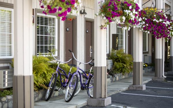 Beach Cruiser Bicycles at Earthbox Inn & Spa
