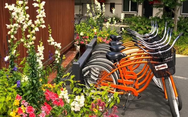 Complimentary Beach Cruiser Bikes at the Earthbox Inn & Spa in Friday Harbor
