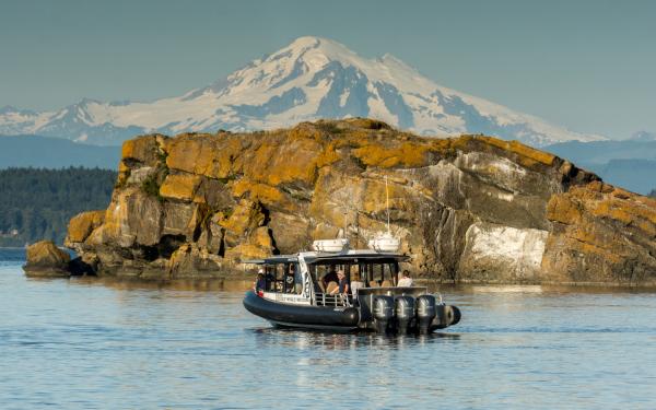 Maya's Legacy Whale Watching near San Juan Island, Washington