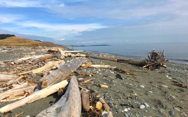 South Beach, San Juan Island's longest Beach