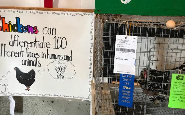 San Juan County Fair in Friday Harbor
