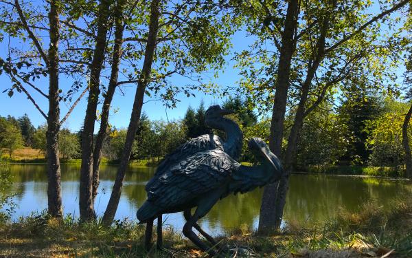 Stunning Blue Heron Sculpture on San Juan Island
