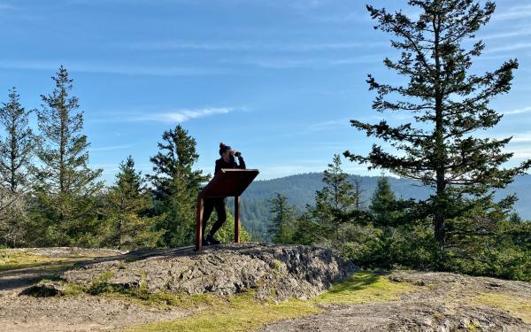 Feel on Top of the World on Mt Young on San Juan Island