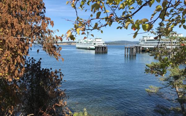 Getting to San Juan Island from the Anacortes Ferry Terminal