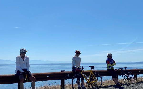 Stunning Cattlepoint Road on beautiful San Juan Island