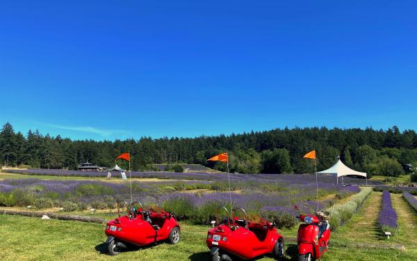 Lavender Farm on San Juan Island, Washington