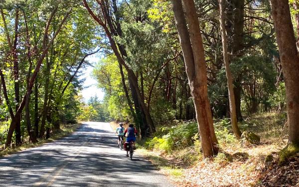 Summer on San Juan Island