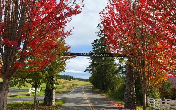 Fall on San Juan Island