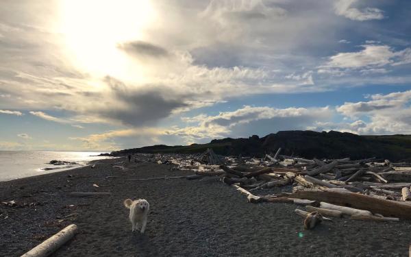 South Beach on San Juan Island, Washington