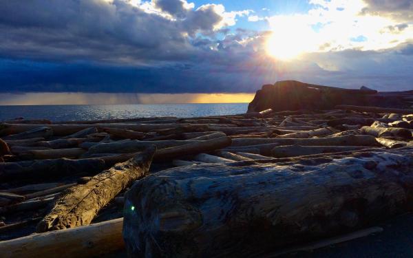San Juan Island, Washington