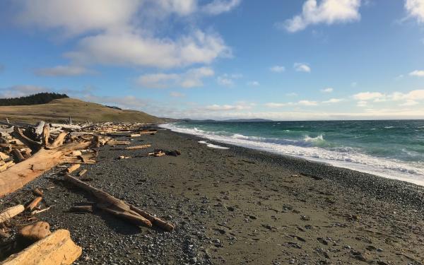 South Beach on San Juan Island