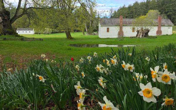 English Camp on San Juan Island