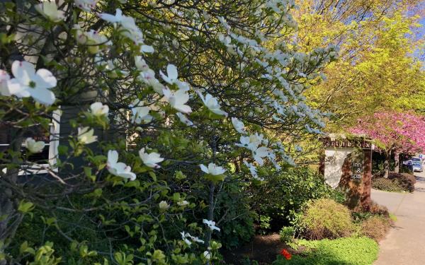 The Earthbox Inn & Spa in Friday Harbor, WA