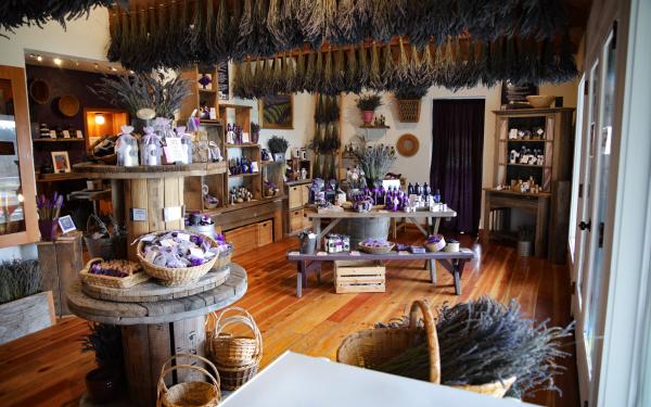 Pelindaba Lavender Farm on San Juan Island - photo by Aimee Danielson