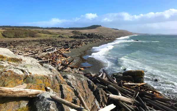 San Juan Island, Washington