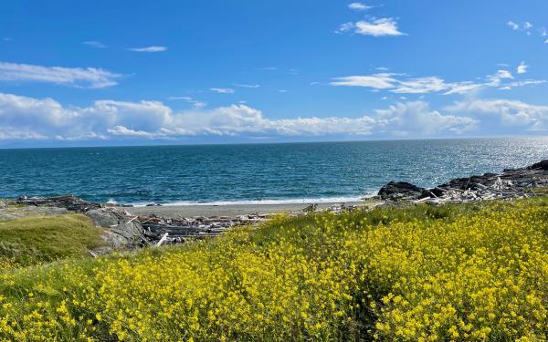 San Juan Island, Washington