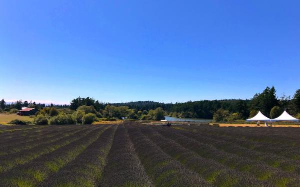 San Juan Island, Washington