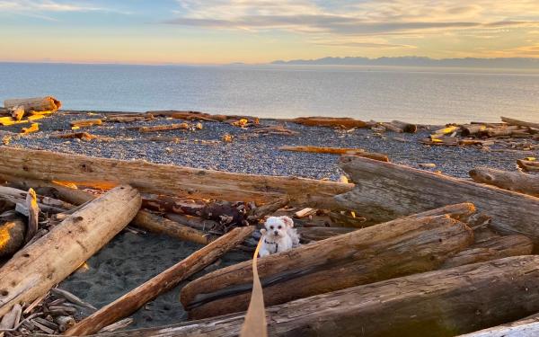San Juan Island, Washington