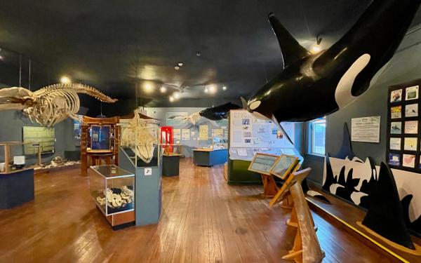 Friday Harbor Whale Museum