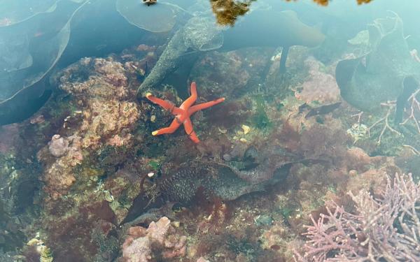 San Juan Island, Washington
