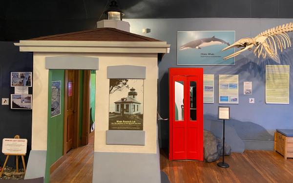 Friday Harbor Whale Museum