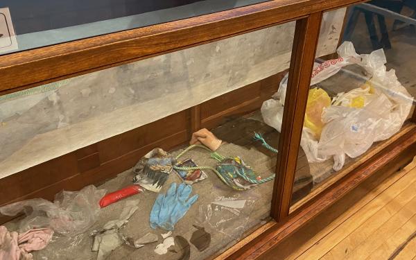 Friday Harbor Whale Museum