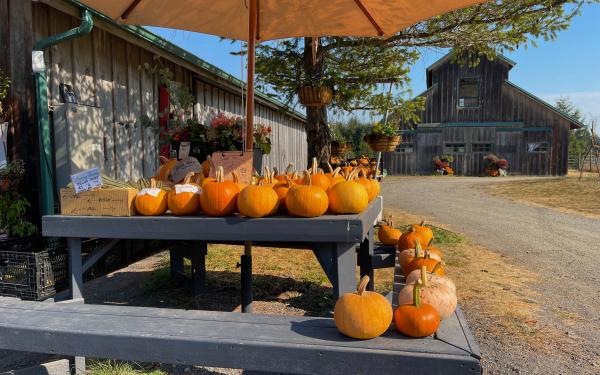 San Juan Island, Washington