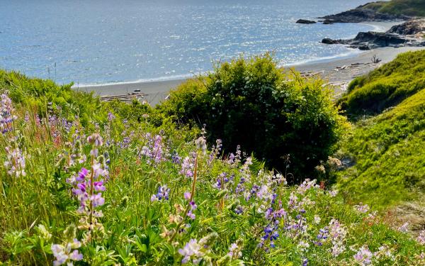 San Juan Island, Washington