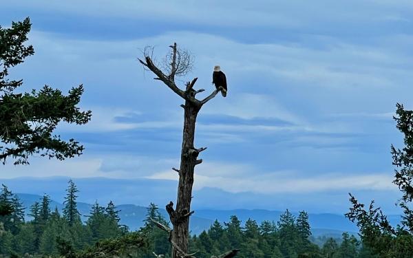 San Juan Island, Washington