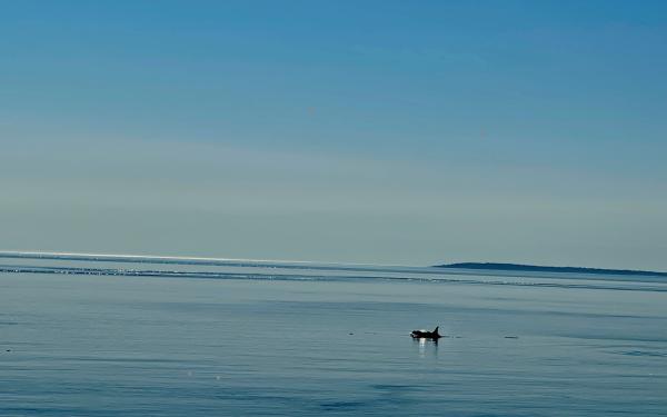 San Juan Island, Washington