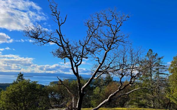 San Juan Island, Washington