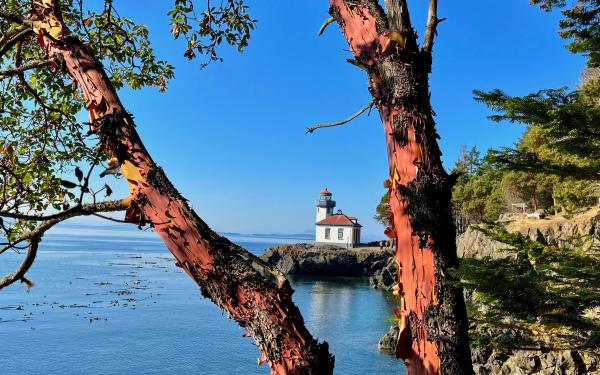 San Juan Island, Washington