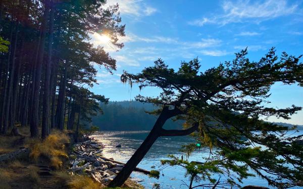 San Juan Island, Washington
