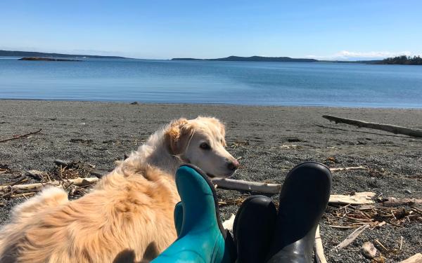 San Juan Island, Washington