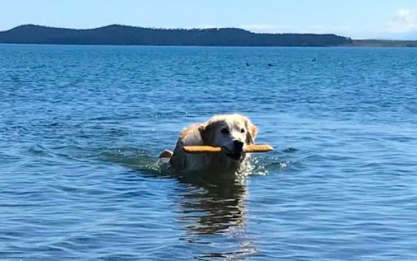 San Juan Island, Washington