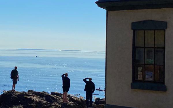 San Juan Island, Washington