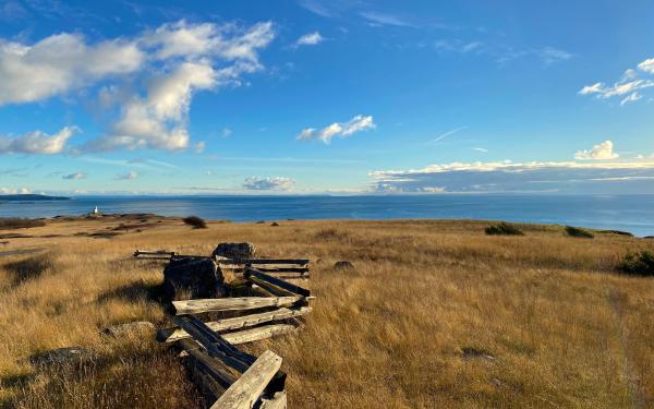 San Juan Island, Washington