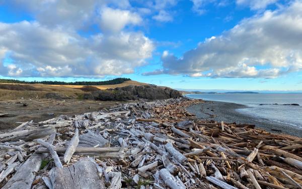 San Juan Island, Washington