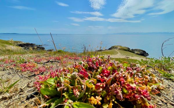 San Juan Island, Washington